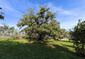 Chalet independiente con terreno en venta en la España, Nava, ref: TR343126 foto