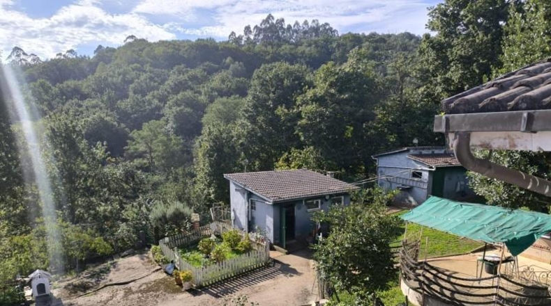 Asturias - Villabona - 1800m2