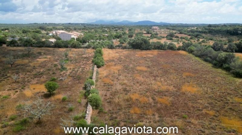 Balearic Islands - Las Salinas - 18000m2