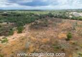 Terreno no urbanizable en venta en la España, Ses Salines, ref: TR246924 foto