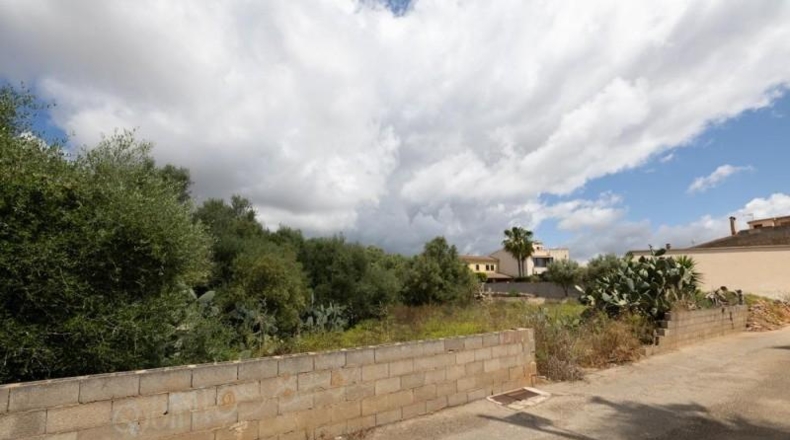 Balearic Islands - Las Salinas - 718m2