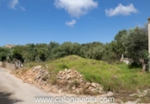 Suelo urbano en venta en la España, Ses Salines, ref: TR247707 foto