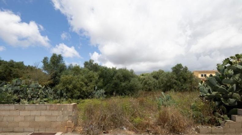 Balearic Islands - Las Salinas - 718m2