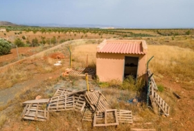 Foto 8