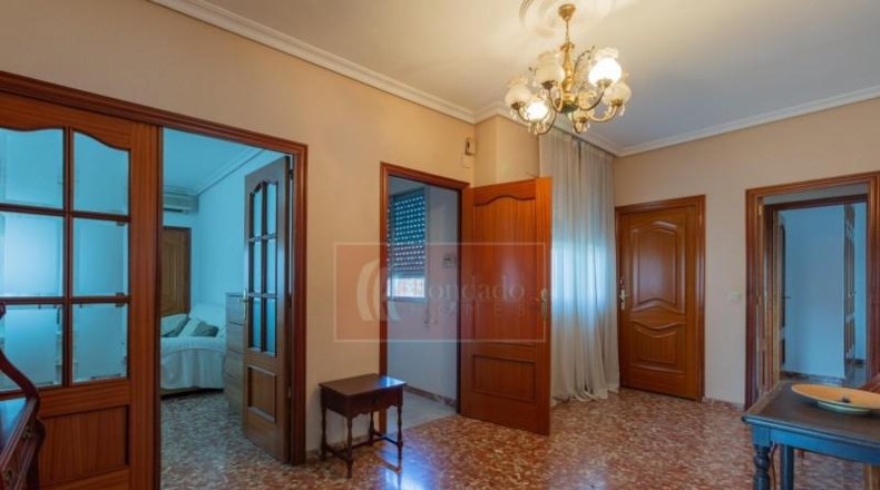 Córdoba - Córdoba - 638m2