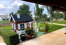 Foto 12
