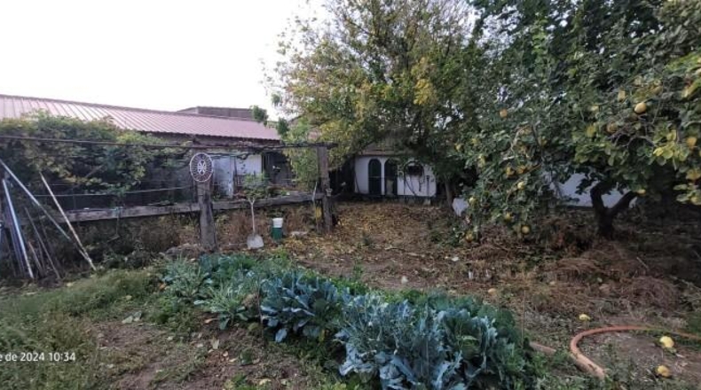 Zamora - Morales del Vino - 3200m2