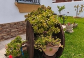 Chalet independiente con terreno en venta en la España, Chiclana de la Frontera, ref: TR412625 foto