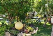 Chalet independiente con terreno en venta en la España, Chiclana de la Frontera, ref: TR412625 foto