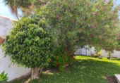 Chalet independiente con terreno en venta en la España, Chiclana de la Frontera, ref: TR412625 foto