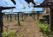 Detached villa with land for sale on España, Barrantes, ref: TR401360 photo