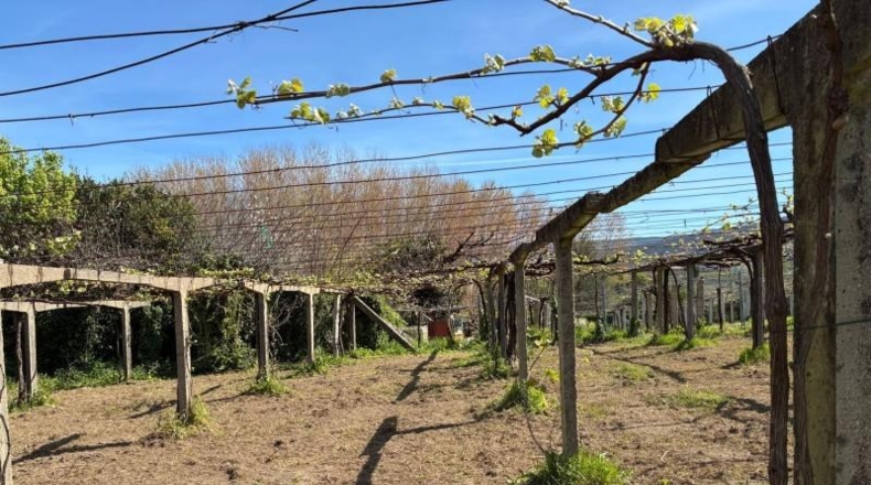 Pontevedra - O Cruceiro Vello - 2600m2