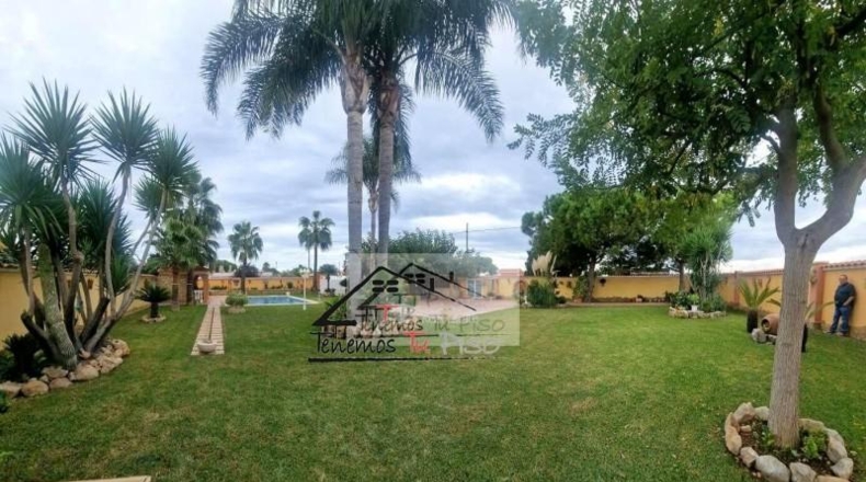 Castellon - Benicarló - 898m2