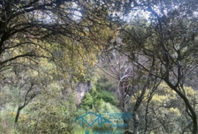 Cebreros 3500&nbsp;m²