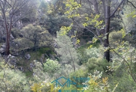 Cebreros 3500&nbsp;m²