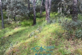 Cebreros 3500&nbsp;m²