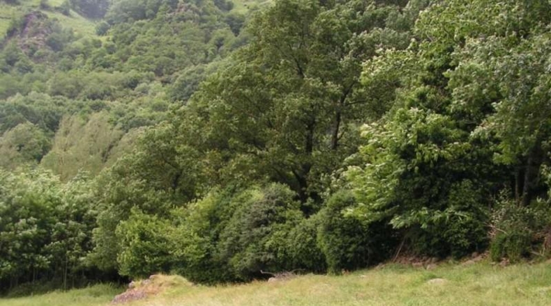 Navarra - Sumbilla - 37001m2
