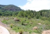 Casa de camp amb terreny en venda a la España, Santesteban, ref.: TR136243 foto