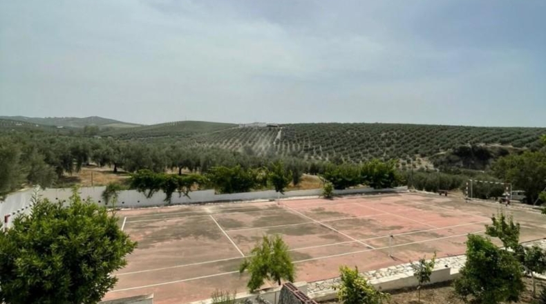 Córdoba - Montilla - 3900m2