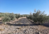 Terreny no urbanitzable en venda a la España, Lucena, ref.: TR382664 foto