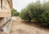 Chalet independiente con terreno en venta en la España, Las Torres de Cotillas, ref: TR169256 foto