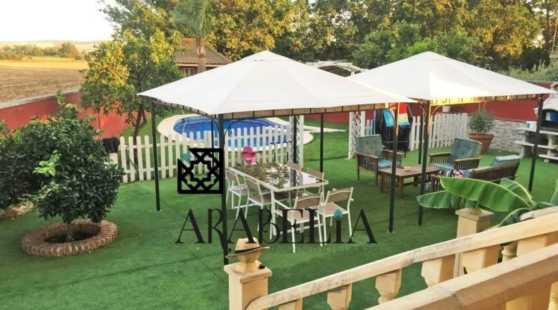 Córdoba - Belmez - 2300m2