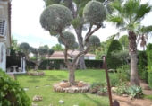 Detached villa with land for sale on España, l'Ametlla de Mar, ref: TR404484 photo