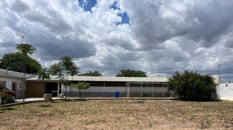 Málaga - Mollina - 1500m2