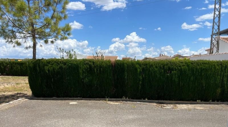 Málaga - Mollina - 1500m2