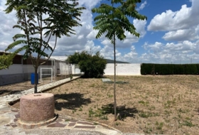 Foto 11