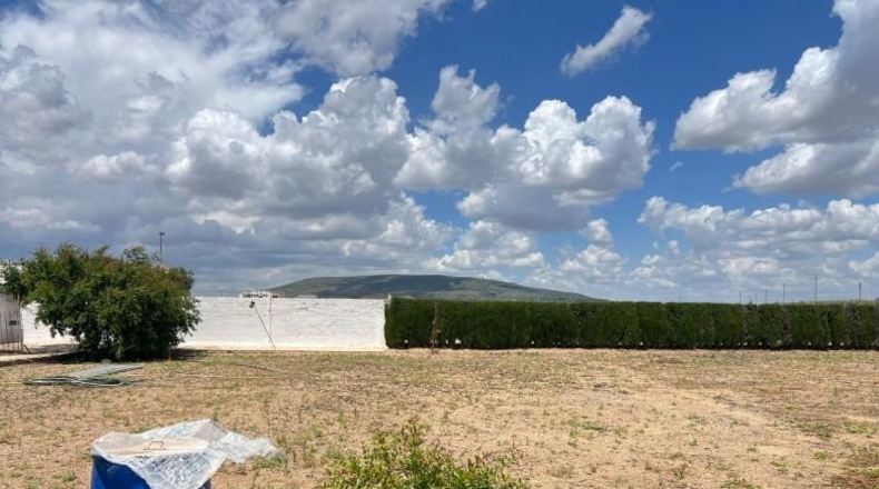 Málaga - Mollina - 1500m2