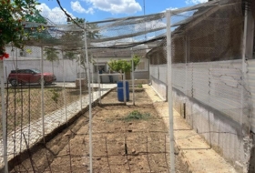 Foto 14