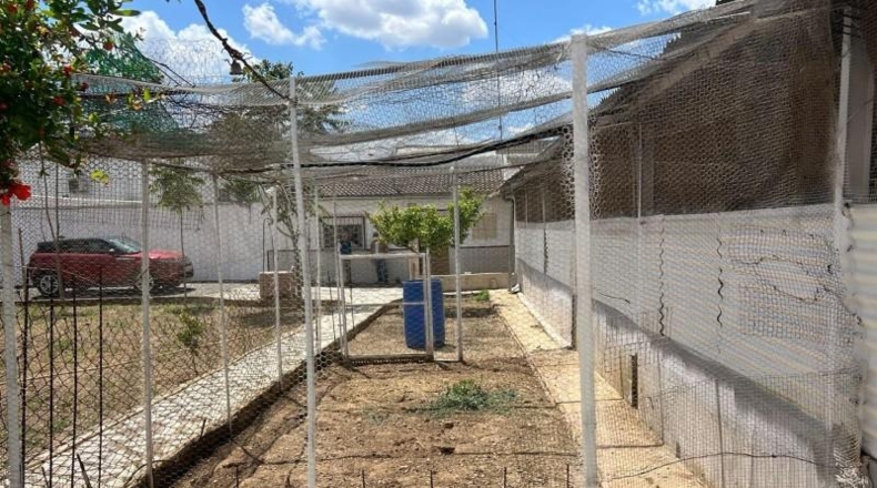Málaga - Mollina - 1500m2