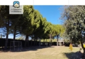 Detached villa with land for sale on España, Villamuriel de Cerrato, ref: TR408689 photo