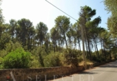 Suelo urbano en venta en la España, Alcúdia, ref: TR113477 foto