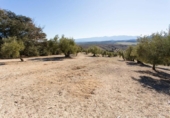 Terreno no urbanizable en venta en la España, Campotéjar, ref: TR326680 foto