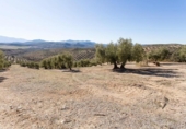 Terreno no urbanizable en venta en la España, Campotéjar, ref: TR326680 foto