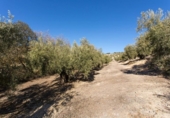 Terreno no urbanizable en venta en la España, Campotéjar, ref: TR326680 foto
