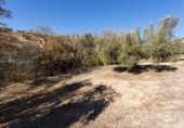 Terreno no urbanizable en venta en la España, Campotéjar, ref: TR326680 foto