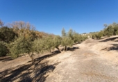 Terreno no urbanizable en venta en la España, Campotéjar, ref: TR326680 foto