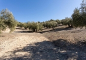 Terreno no urbanizable en venta en la España, Campotéjar, ref: TR326680 foto