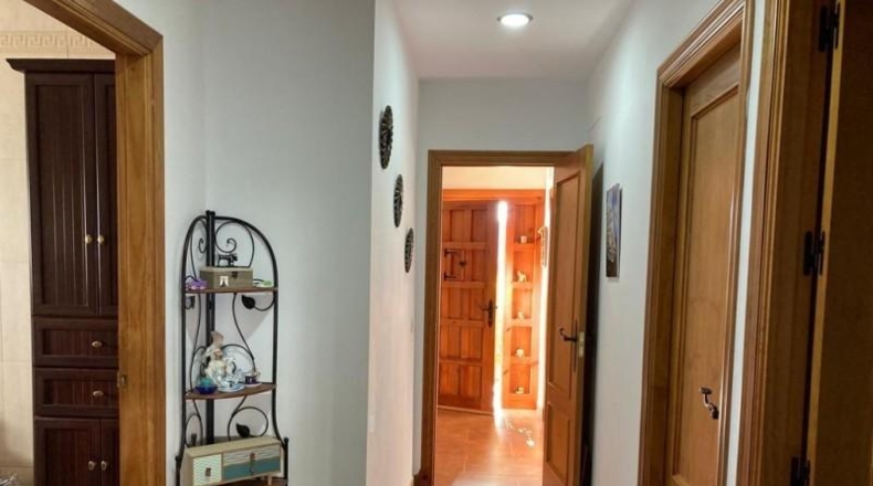 Cádiz - Medina Sidonia - 472m2