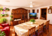 Detached villa with land for sale on España, Esparreguera, ref: TR411506 photo