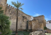 Дом с участком на продажу в городе Antequera Фото