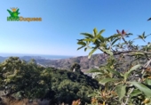 Terreno no urbanizable en venta en la España, Almuñécar, ref: TR247497 foto