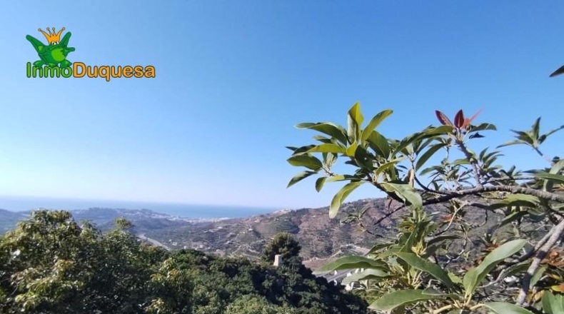 Granada - Almuñécar - 26800m2