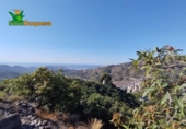 Terreno no urbanizable en venta en la España, Almuñécar, ref: TR247497 foto