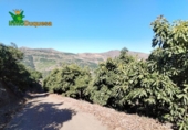 Terreno no urbanizable en venta en la España, Almuñécar, ref: TR247497 foto