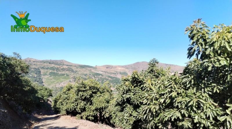 Granada - Almuñécar - 26800m2