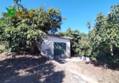 Terreno no urbanizable en venta en la España, Almuñécar, ref: TR247497 foto
